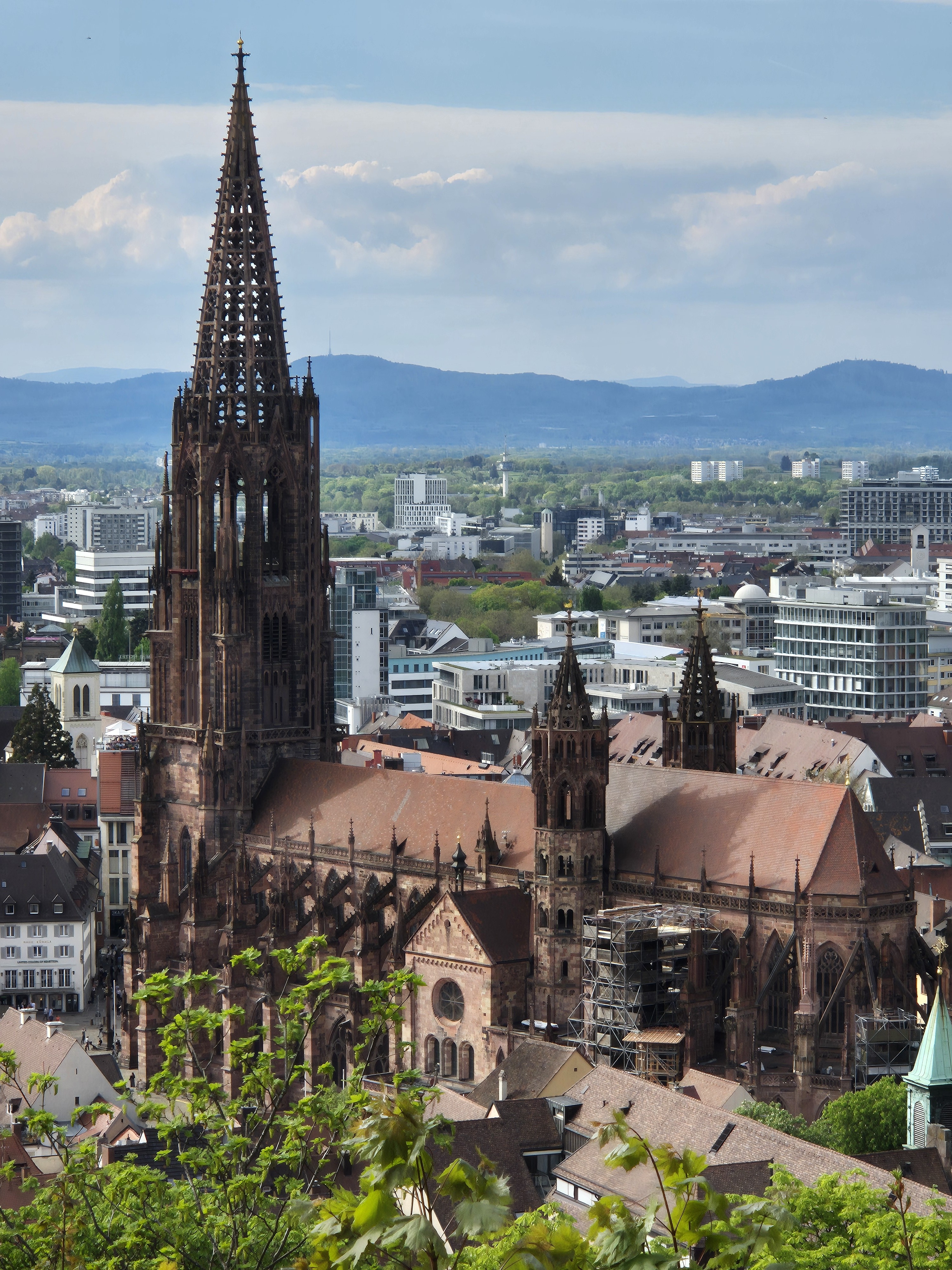 Freiburger Münster